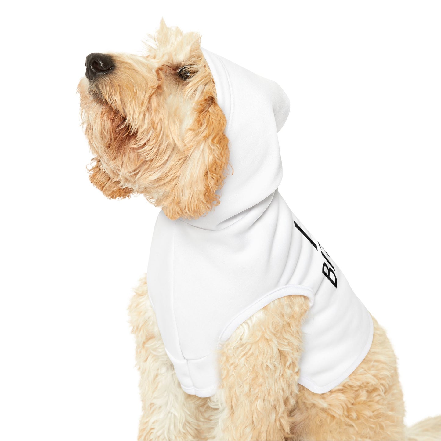 I love Bitches Pet Hoodie