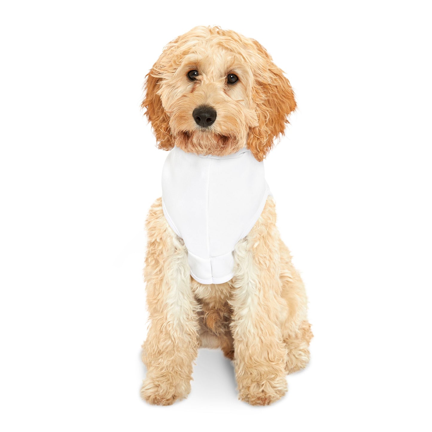 I love Bitches Pet Hoodie