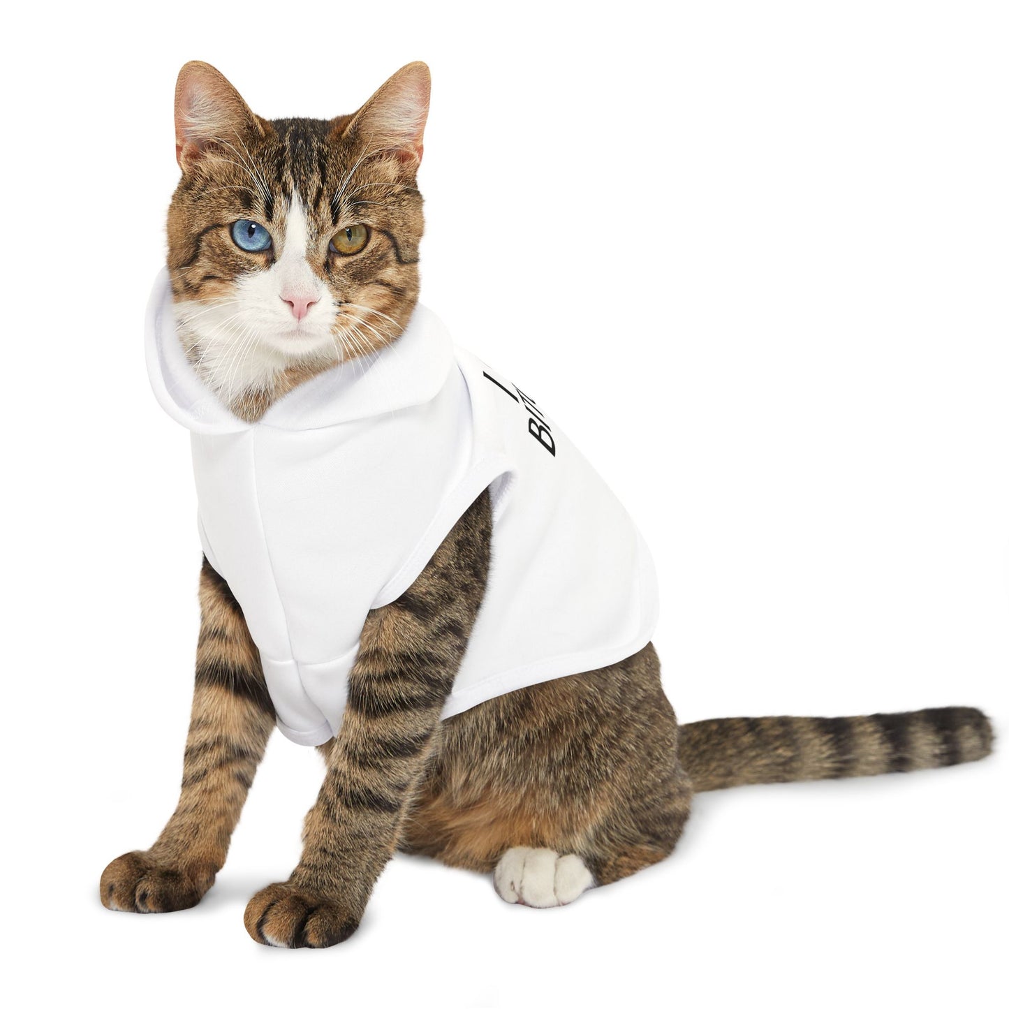 I love Bitches Pet Hoodie