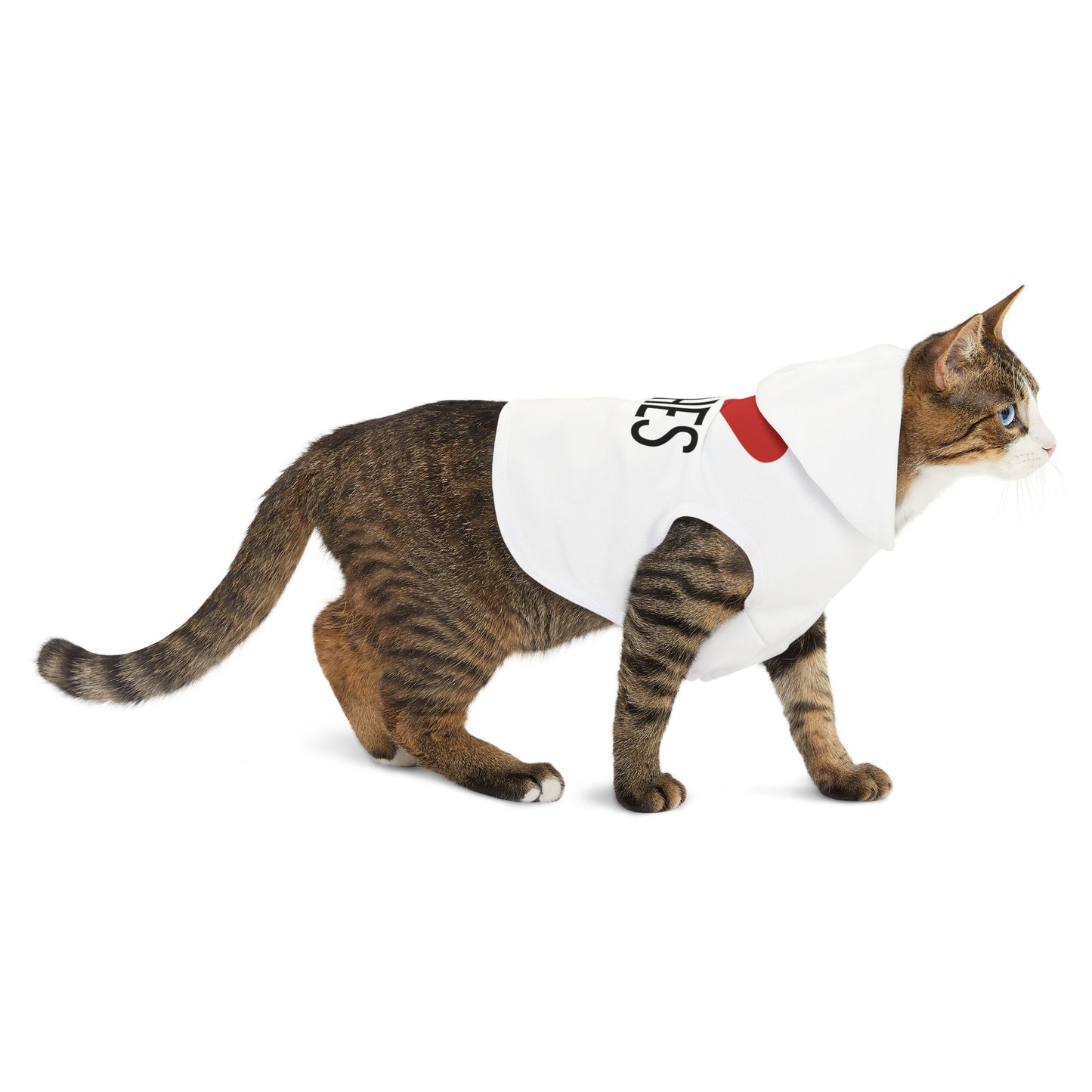 I love Bitches Pet Hoodie