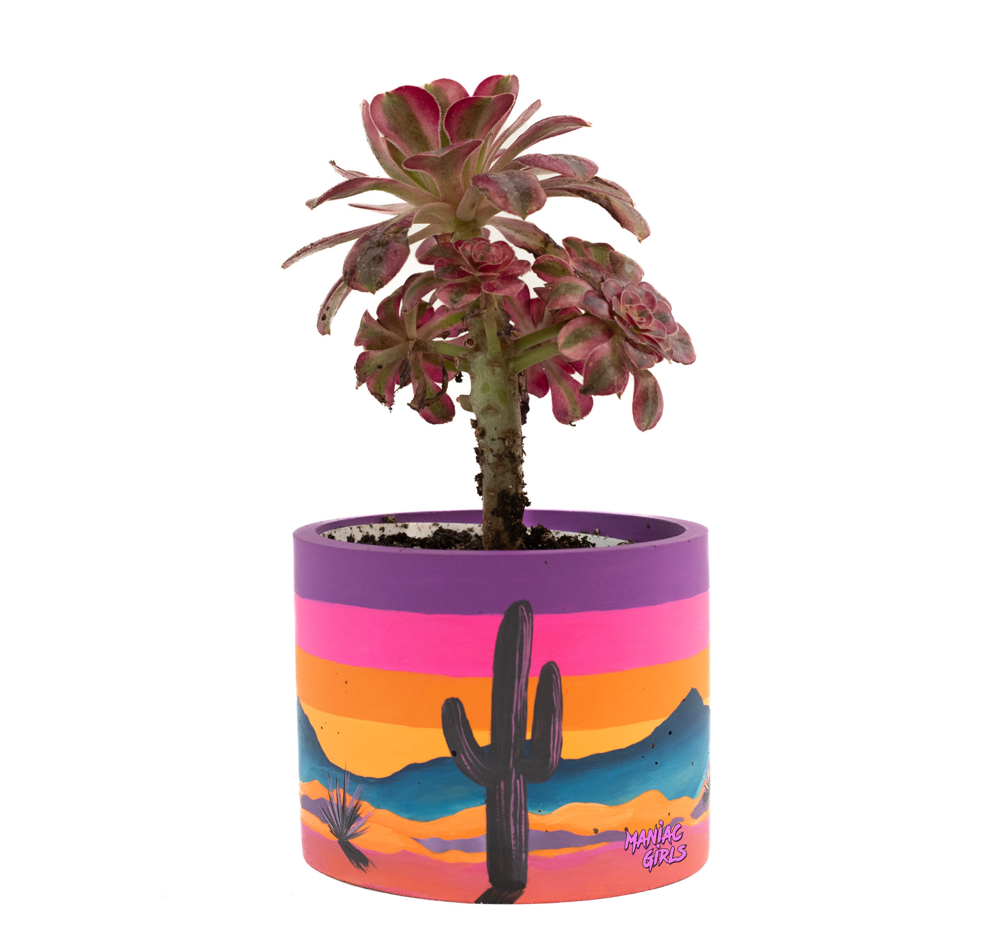 Chaos & Wisdom Concrete Pot