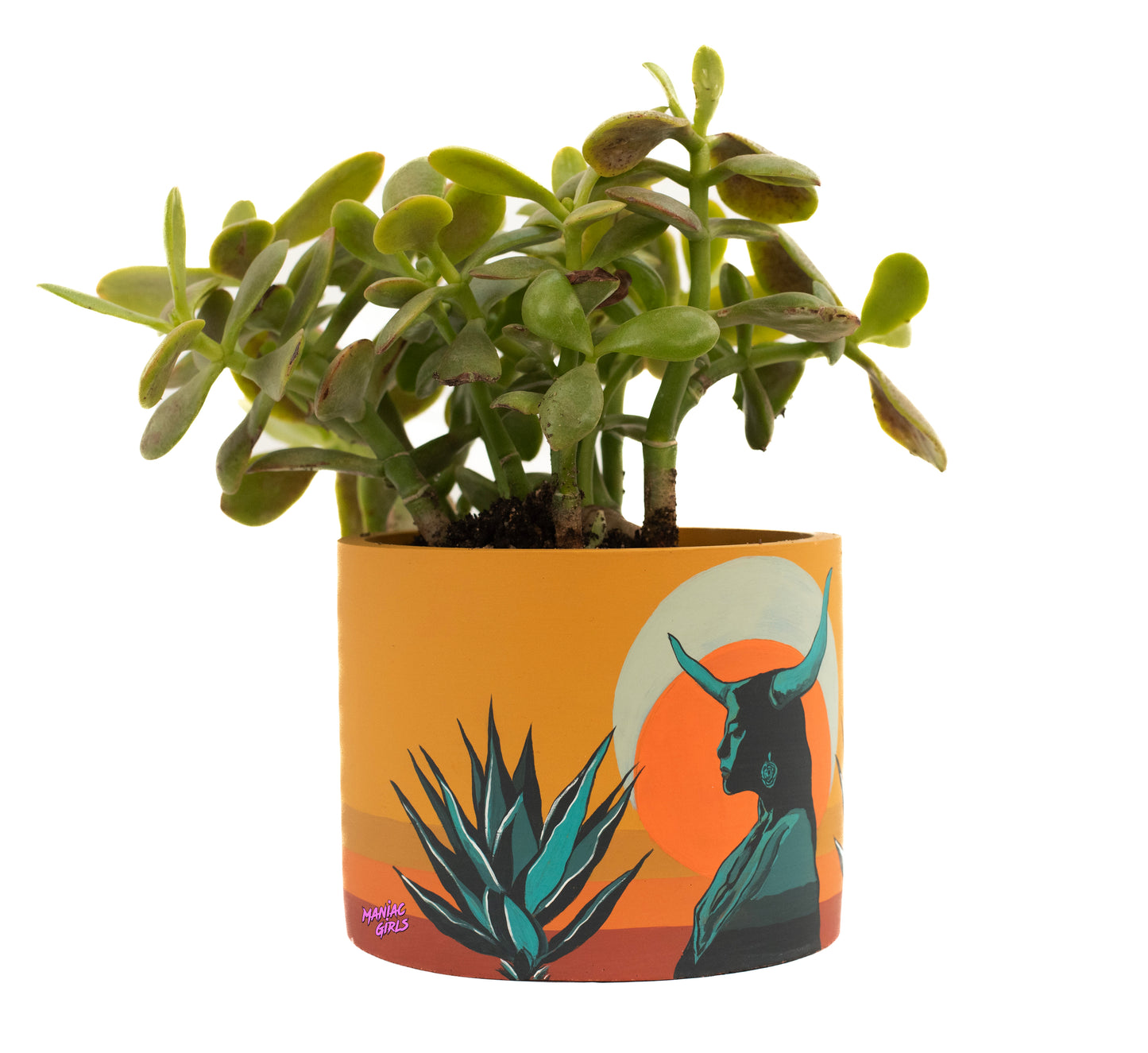 Crescent Moon Concrete Pot