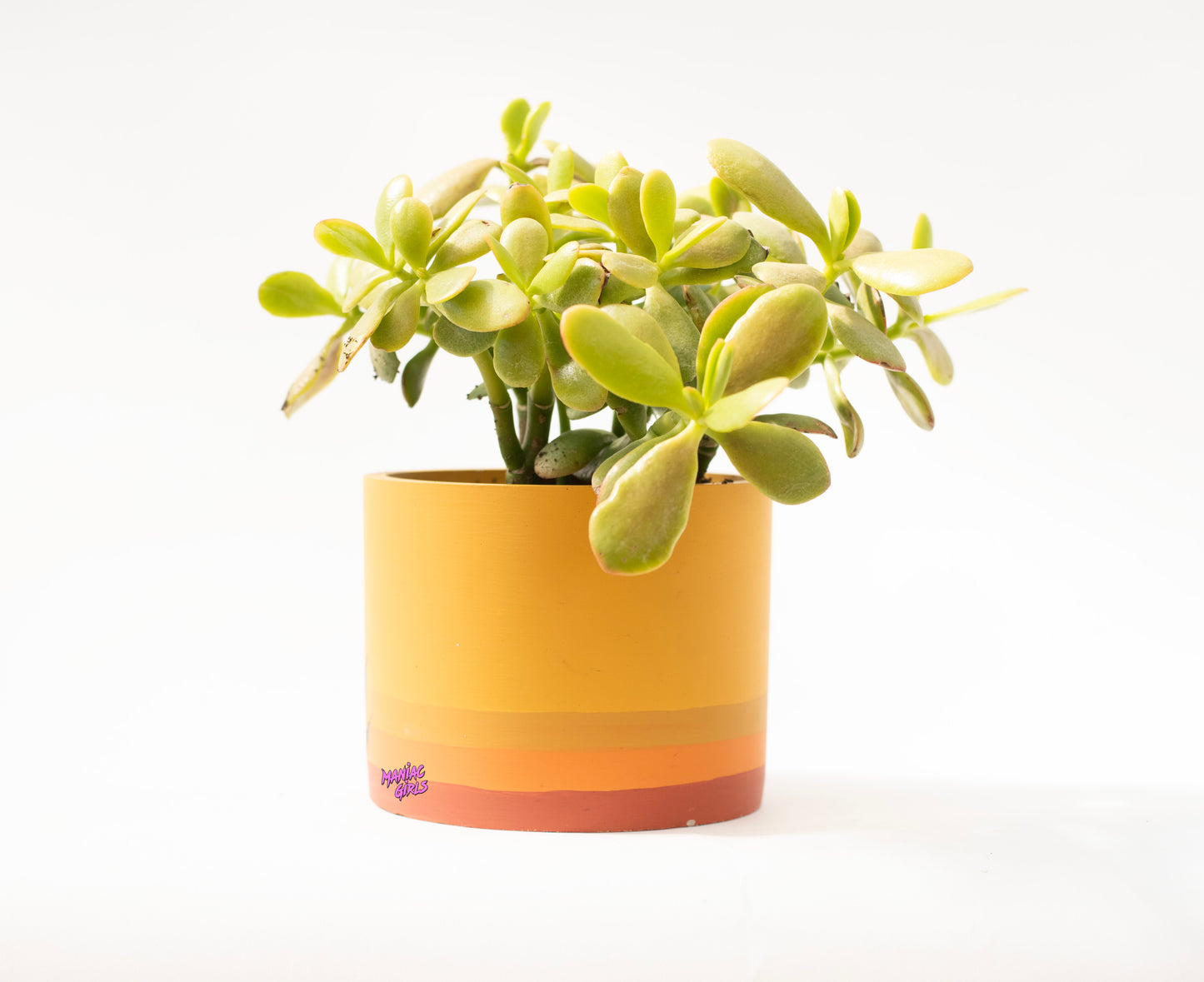 Crescent Moon Concrete Pot