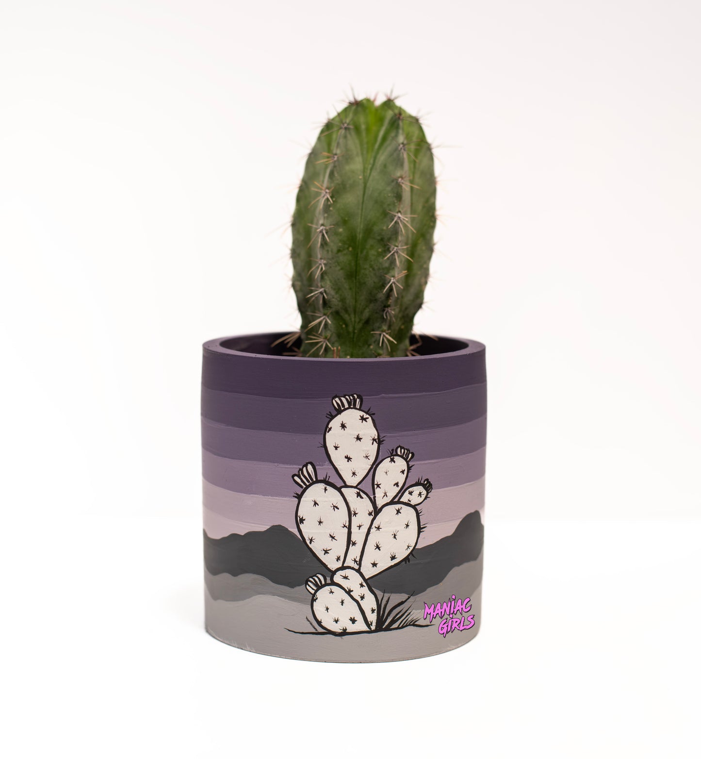 Maniac Purple Prickly Pot