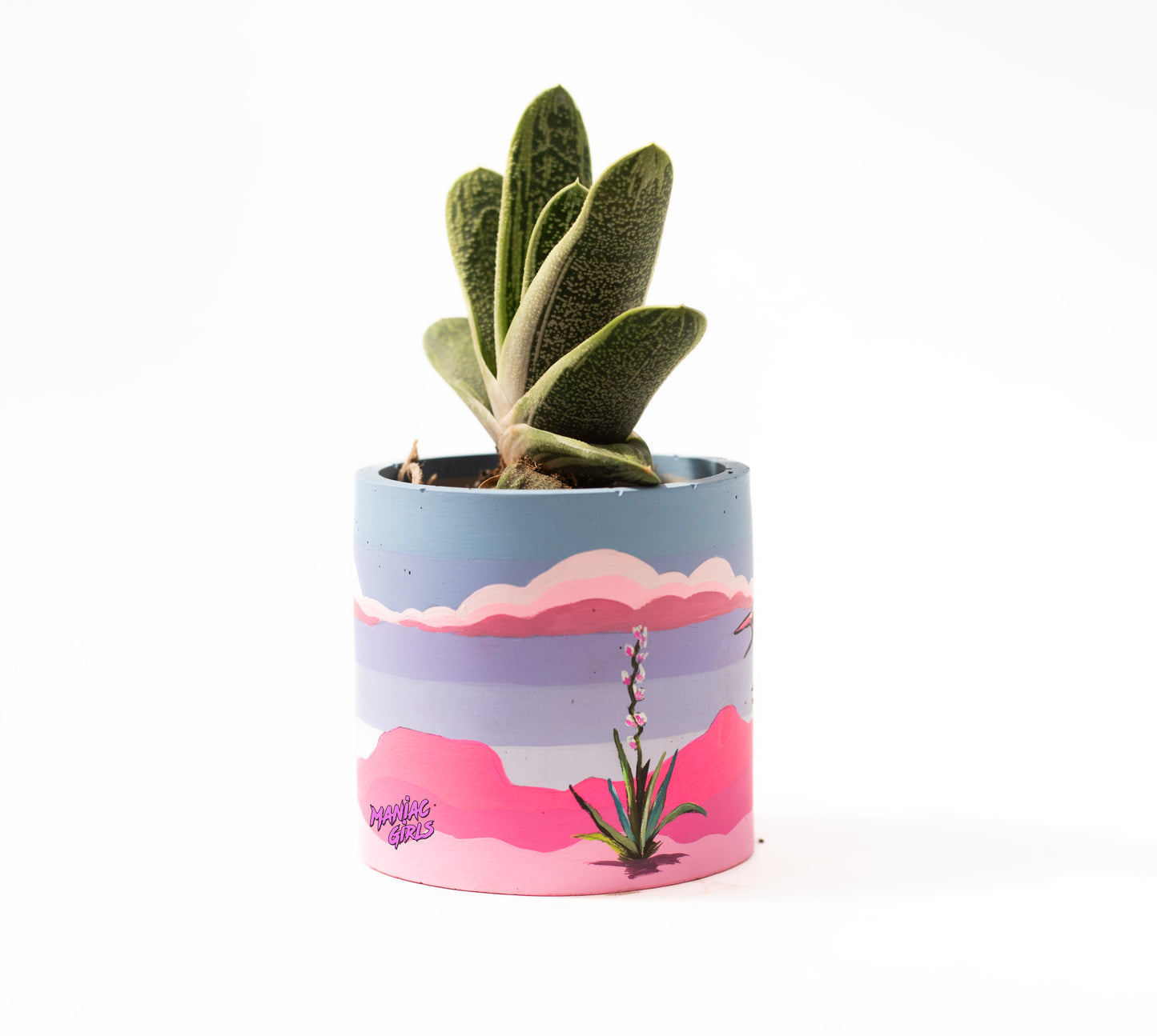 Scorpion Small Pot