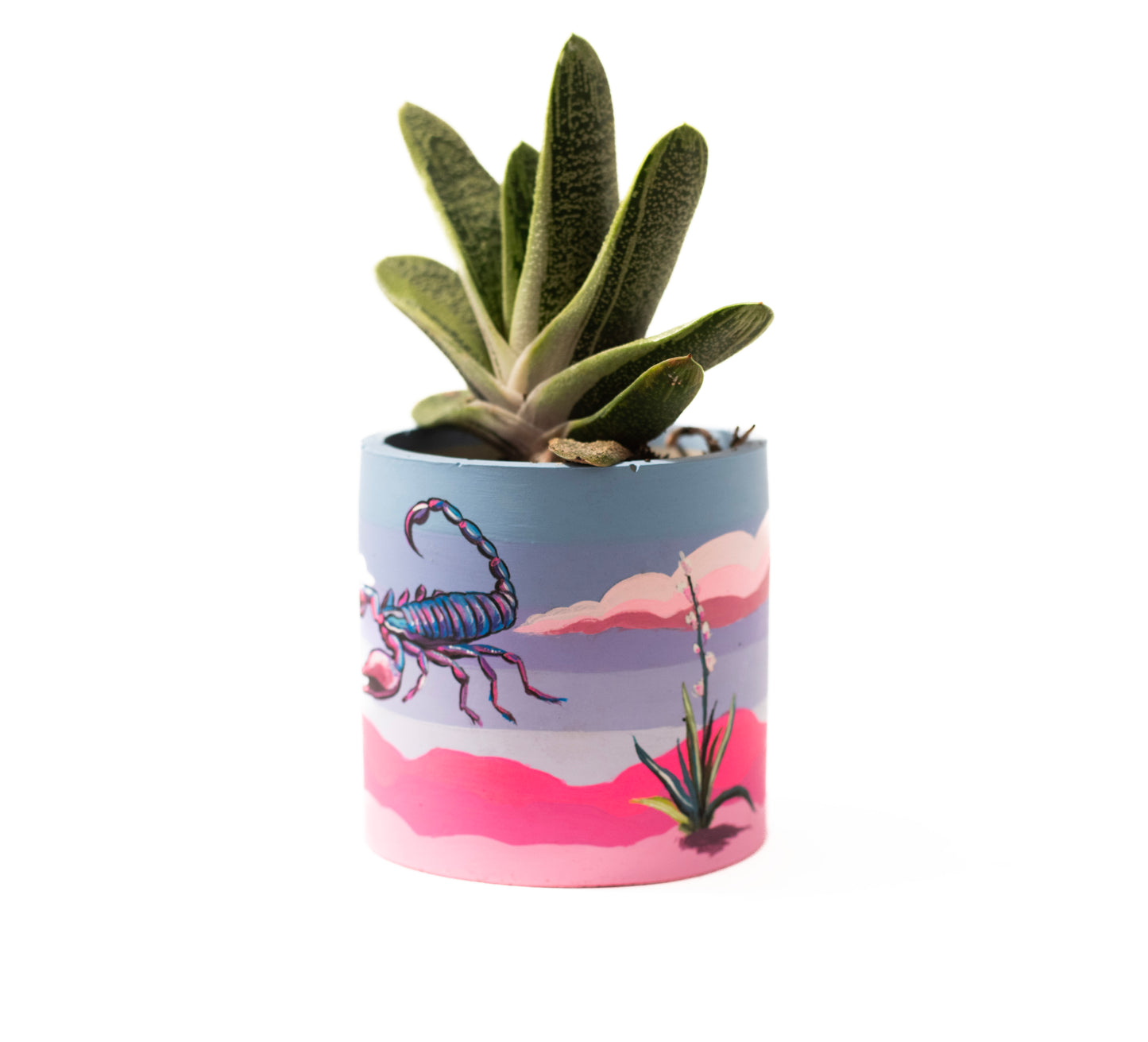 Scorpion Small Pot