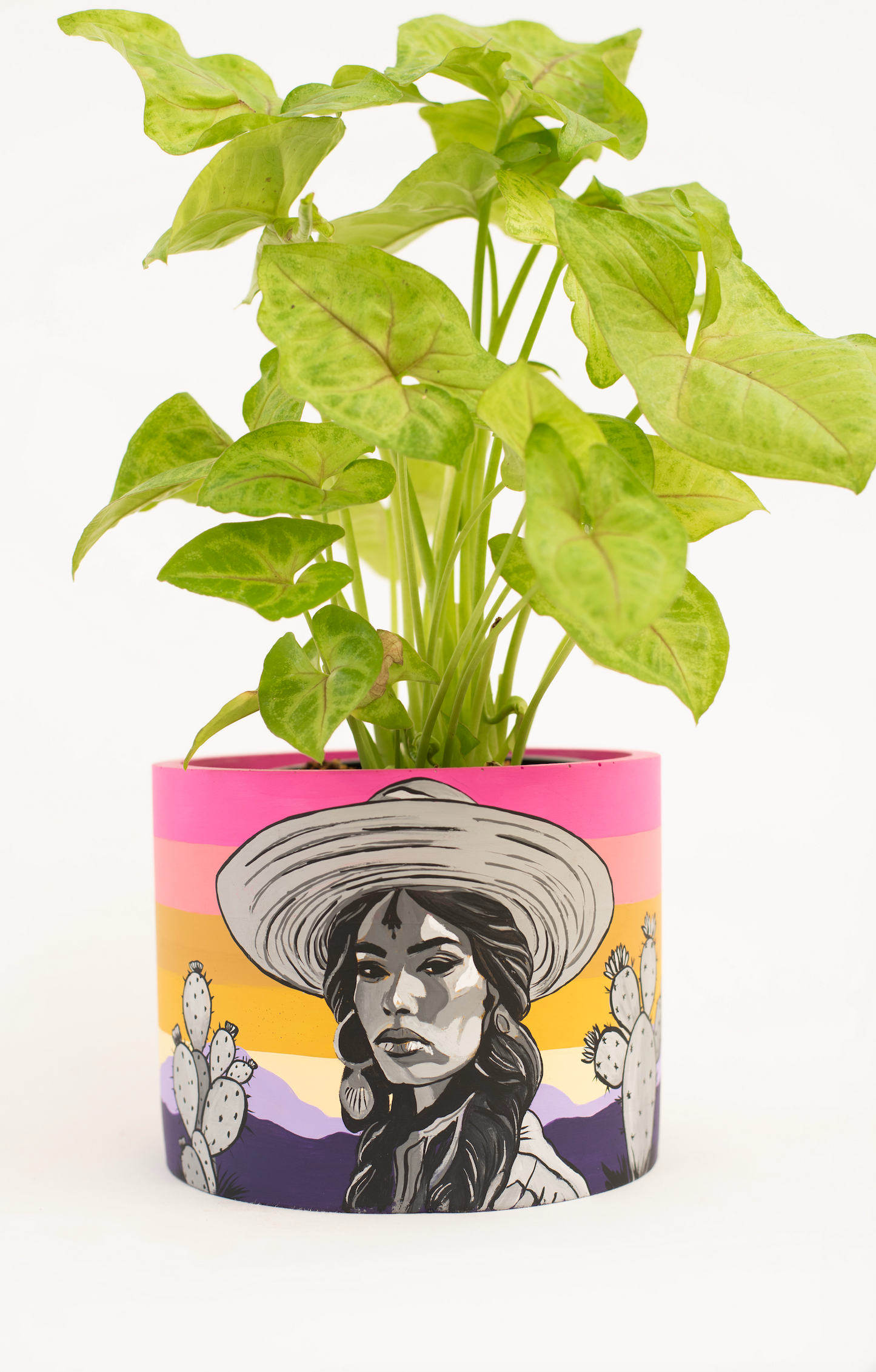 Mamacita Pot
