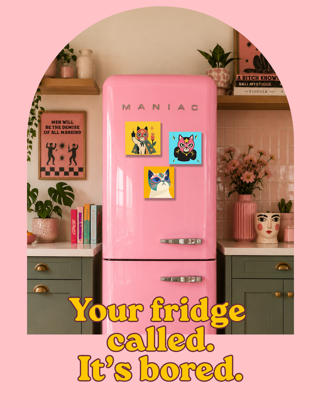 Maniac Lucha Kitty Magnet Paint Kit