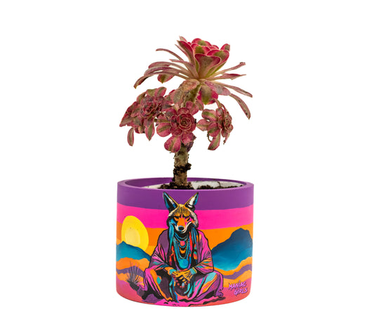 Chaos & Wisdom Concrete Pot