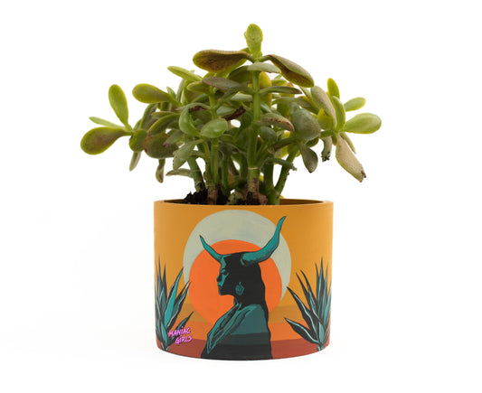 Crescent Moon Concrete Pot