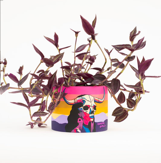 Her Demise Pot