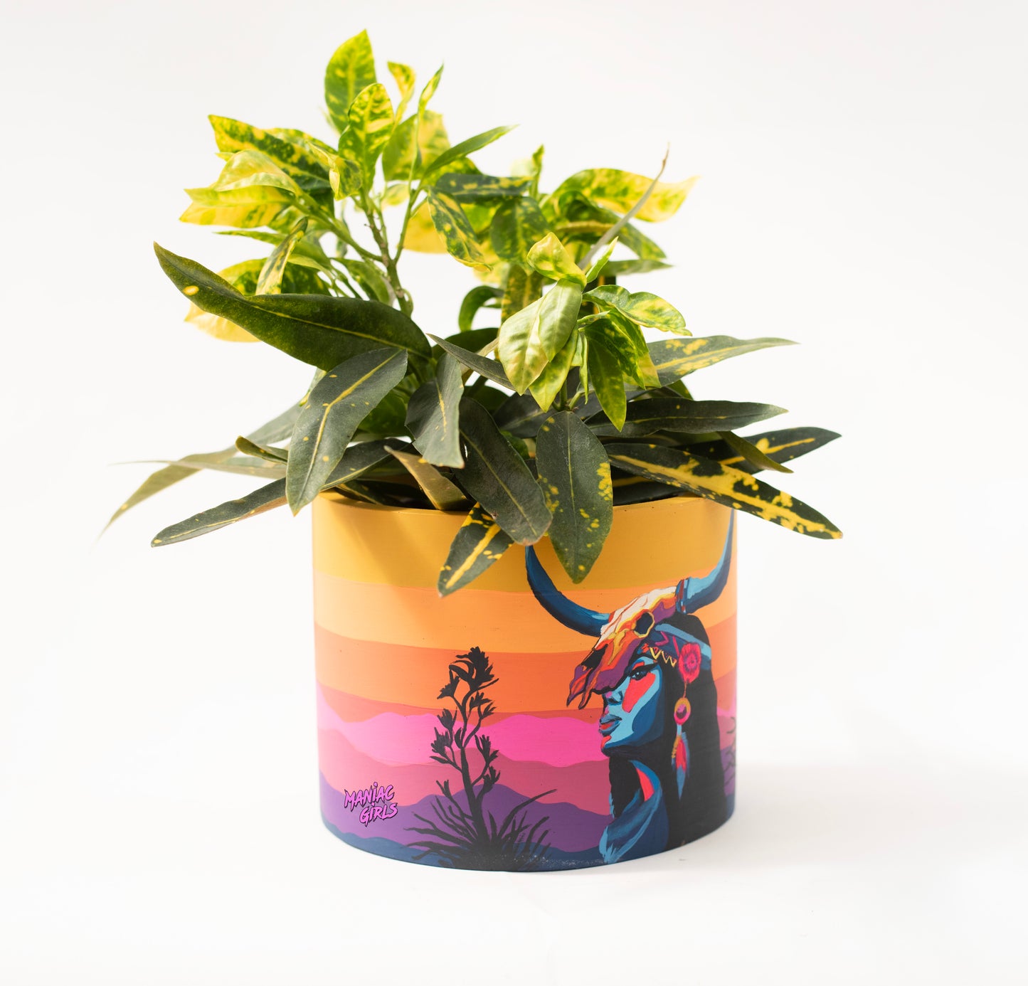 Hocicona Concrete Pot