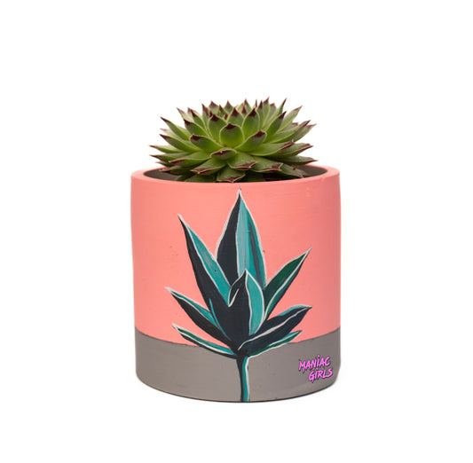 Maniac Agave Pink and Gray Pot