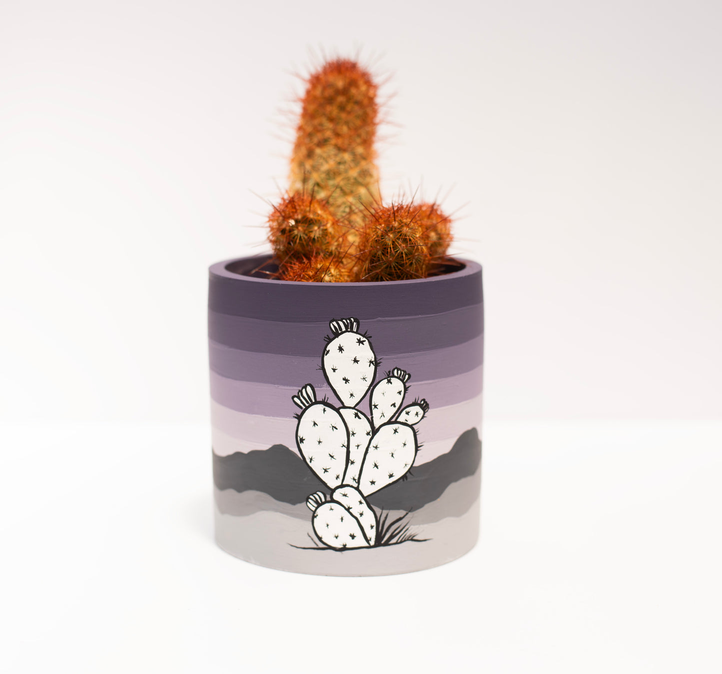 Maniac Purple Prickly Pot