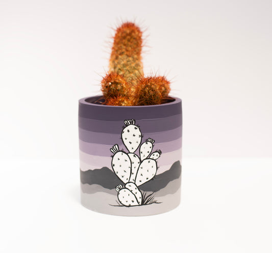Maniac Purple Prickly Pot