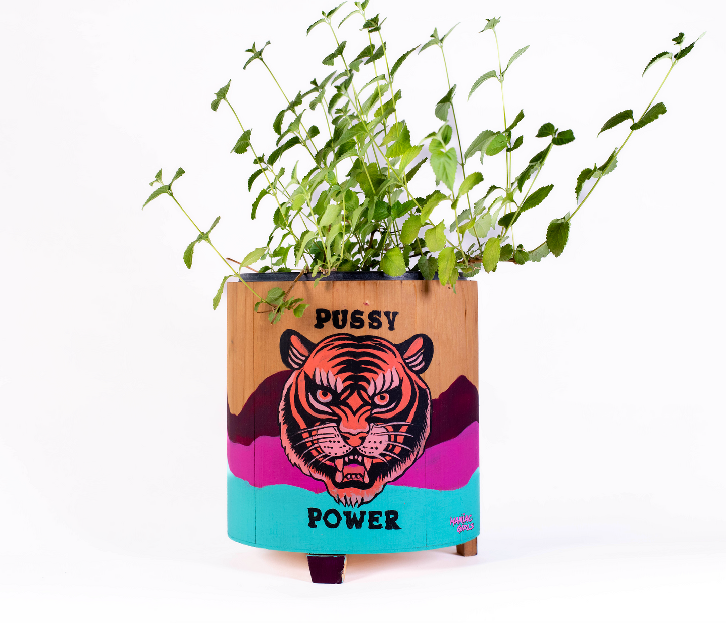 Pussy Power Wooden Pot