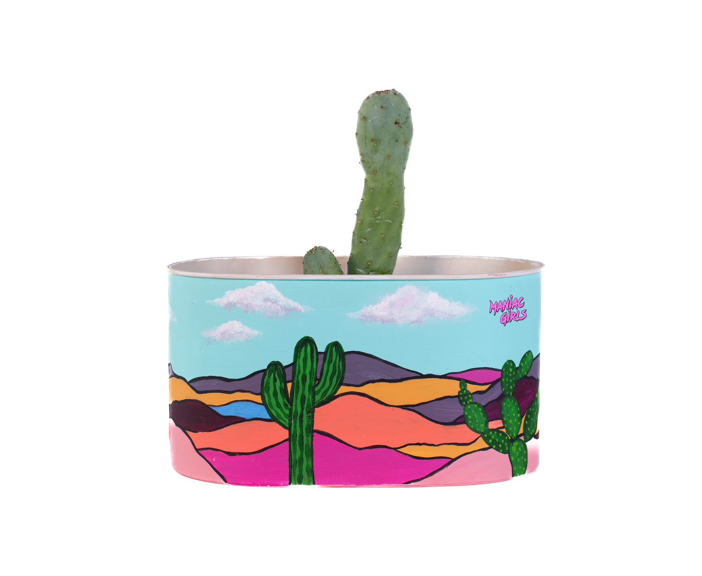 Upcycled Cactus Tin Pot