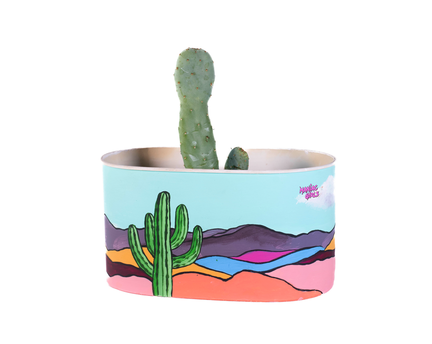 Upcycled Cactus Tin Pot