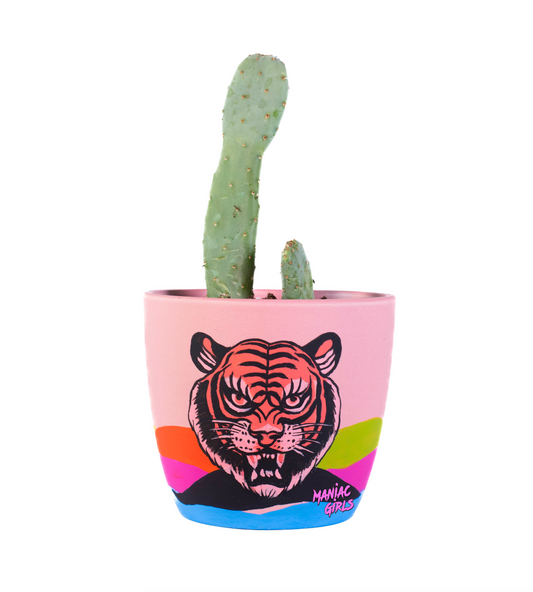 Upcycled Tiger Face Pot