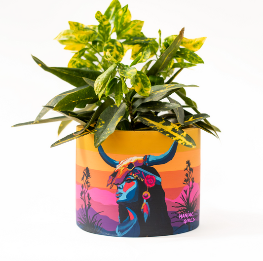 Hocicona Concrete Pot