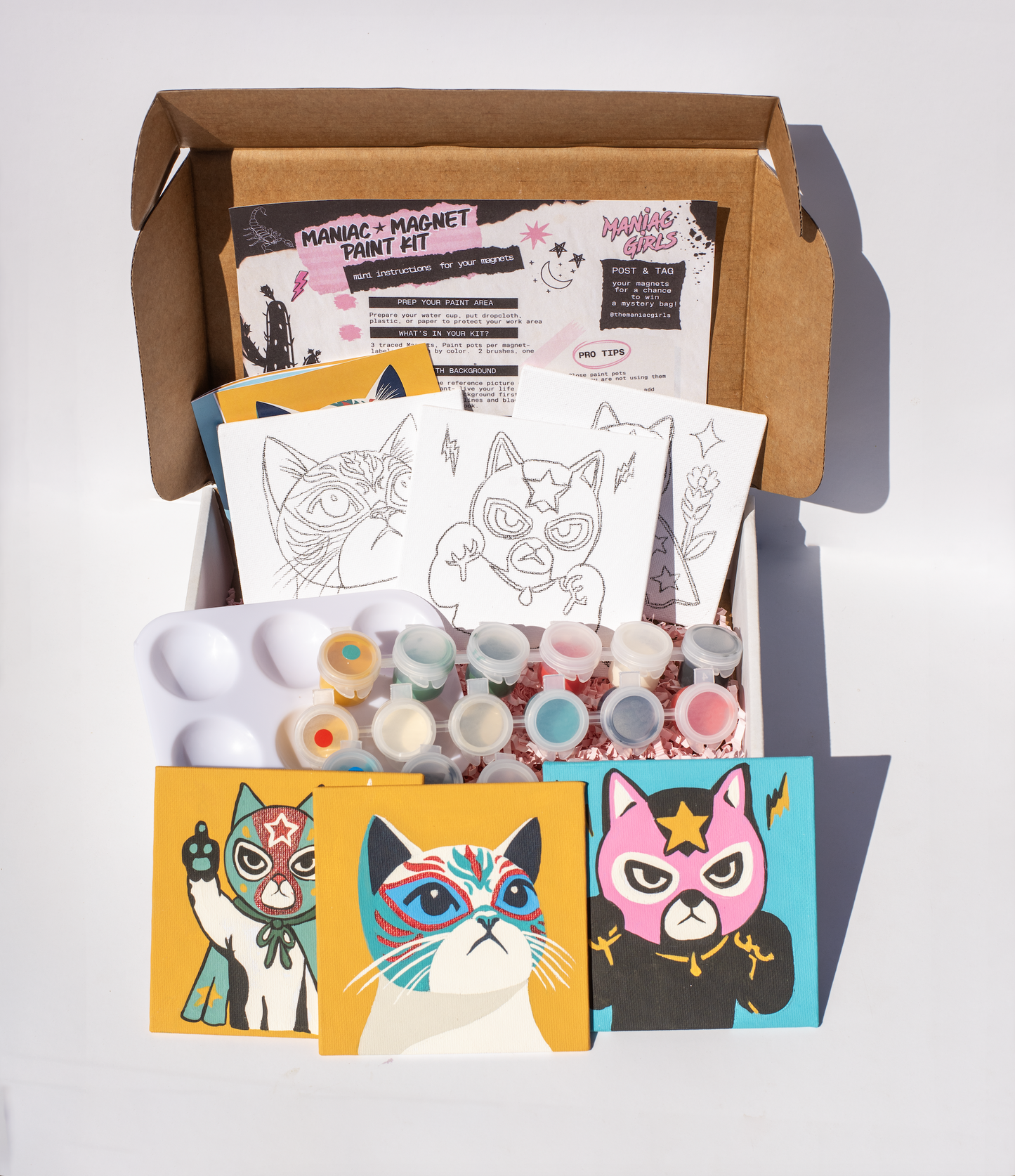 Maniac Lucha Kitty Magnet Paint Kit