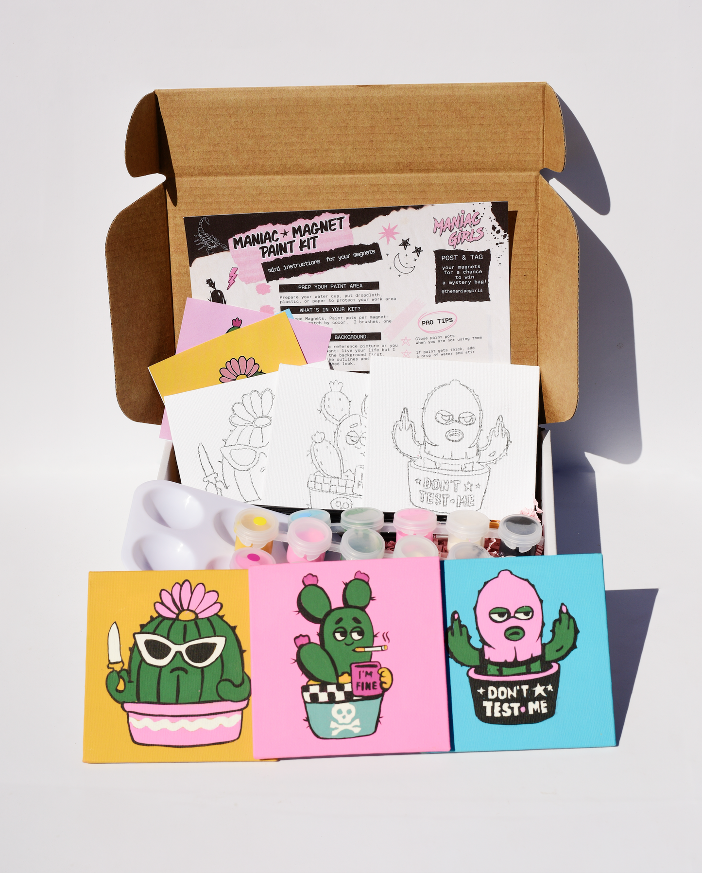 Maniac Unhinged Cacti Magnet Paint Kit